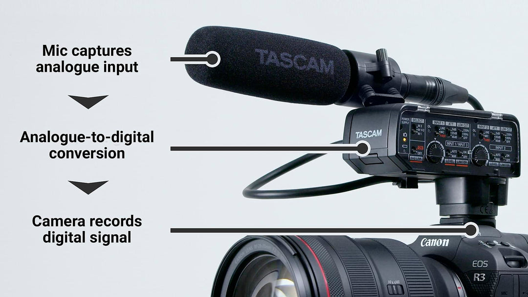 Tascam CA-XLR2D mikrofonisovitin kameraan, Analog input
