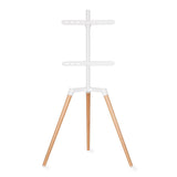 TV Lattiateline (valkoinen, pyökki, 50-65")