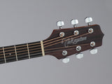 Takamine GD10-NS Western kitara (luonnon)
