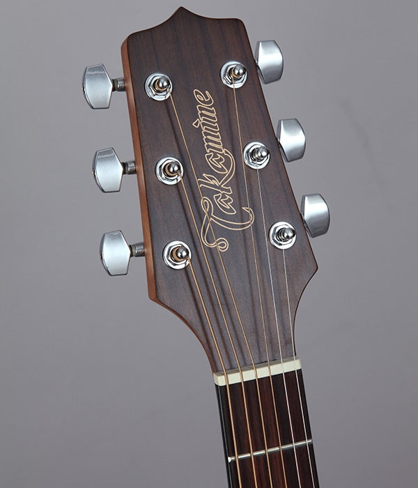 Takamine GD11MCE-N Western Guitar (luonto)
