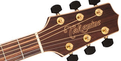 Takamine GD93ce-Nat Western Guitar (luonto)
