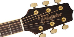 Takamine Gn51ce-Nat Western Guitar (luonto)