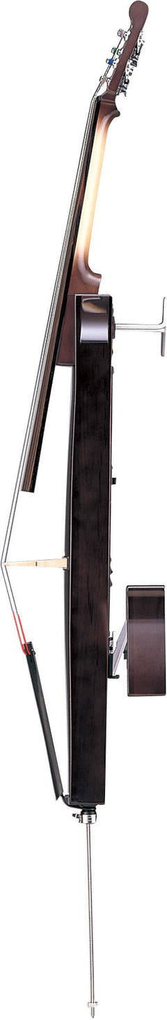 Yamaha Hiljainen sello (luonto)
