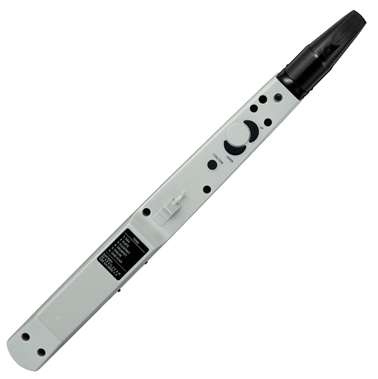 Roland AE-01 sähköinen nauhuri (sininen/valkoinen)