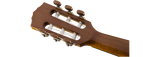Fender CN-60S Natural