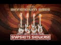 Riffendium Bass Vol. 1
