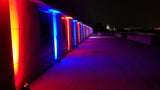 Chauvet Freedom Par Quad-4 IP