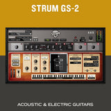 Strum GS-2
