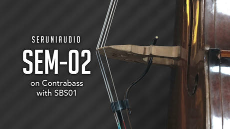 SBS01 Bass Accessory Set
