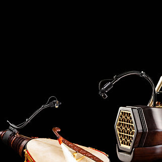 SEM-02 Versatile Miniature Microphone