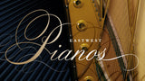 PIANOS PLATINUM BUNDLE