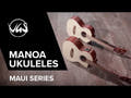 GEWA Concert Ukulelet Manoa Maui - E-A Concert (Sapelli matta)