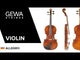 GEWA Violin Allegro - 1/4 (Ready to play incl. violin case, carbon bow, Larsen Aurora strings, transport-secured)