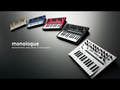 Korg Monologue Synthesizer (Musta)
