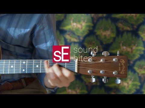 sE Electronics sE2200 Kondensaattori Studio Mikrotonit