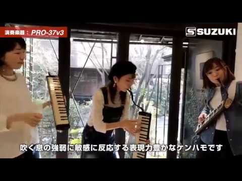 Suzuki Pro Alt Melodika (Musta)