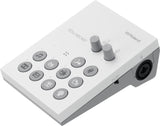 Roland GO:LIVECAST Äänikortit