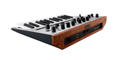 Korg Monologue Synthesizer (Hopea)
