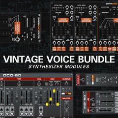 Vintage Voice -paketti