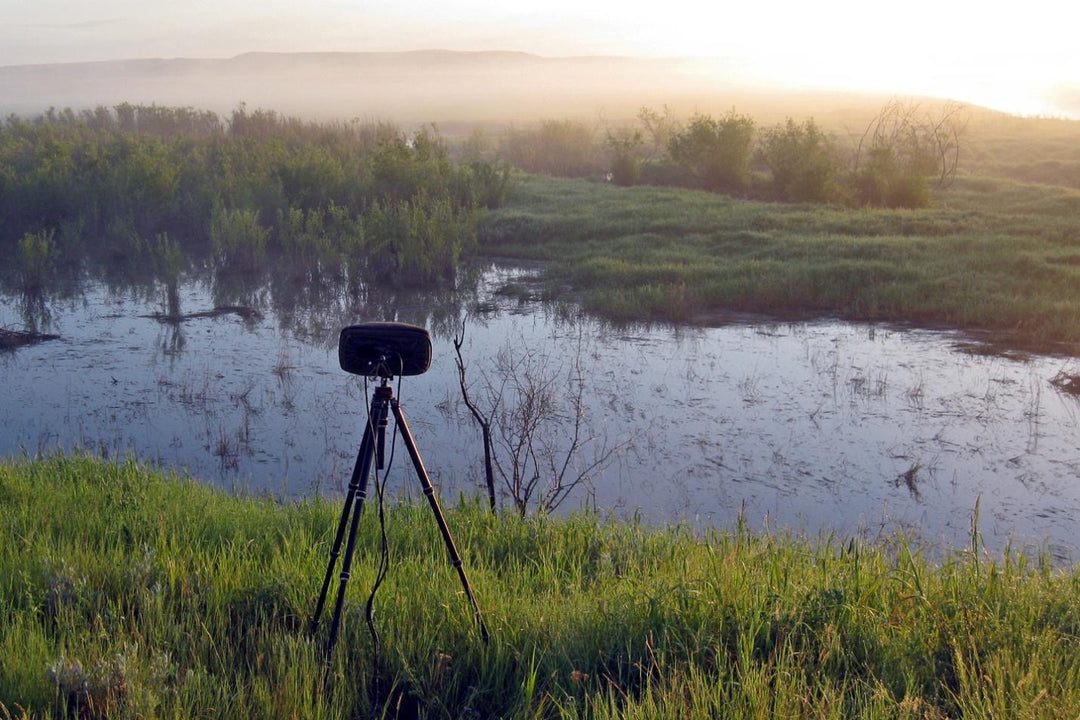 Boom Swamp STEREO